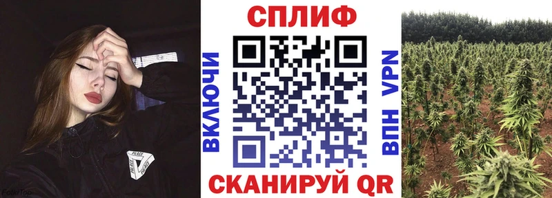 Купить A PVP  Каннабис  Кокаин  Меф мяу мяу  Гашиш  Верхний Тагил