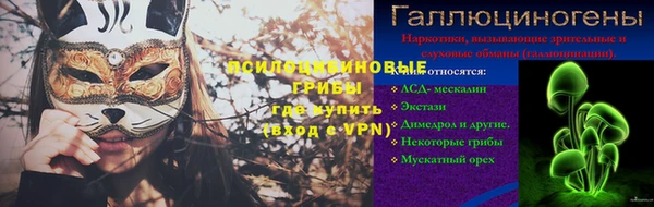 PSILOCYBIN Алзамай